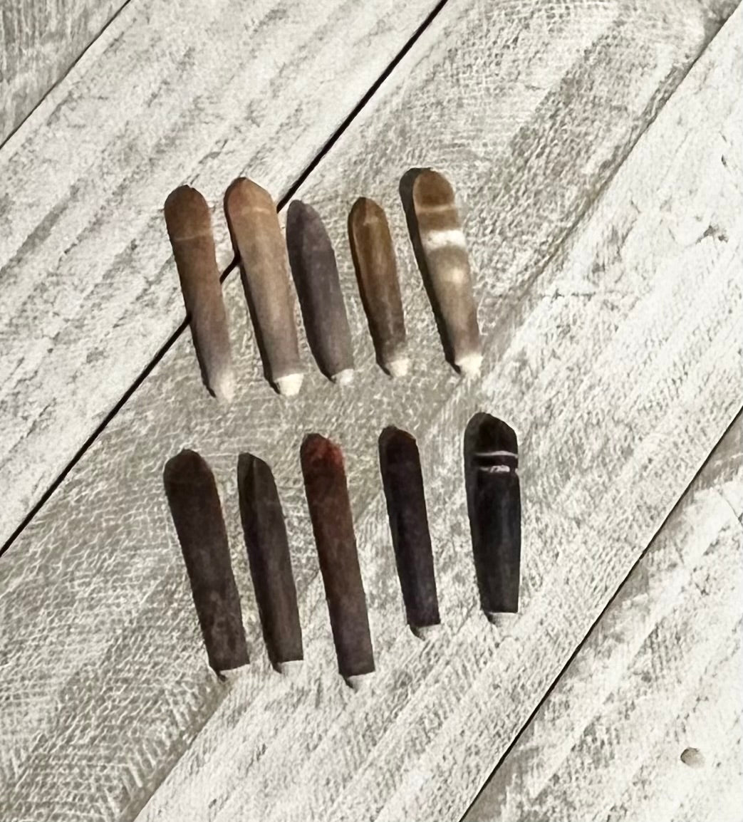 Pencil Sea Urchin Spines