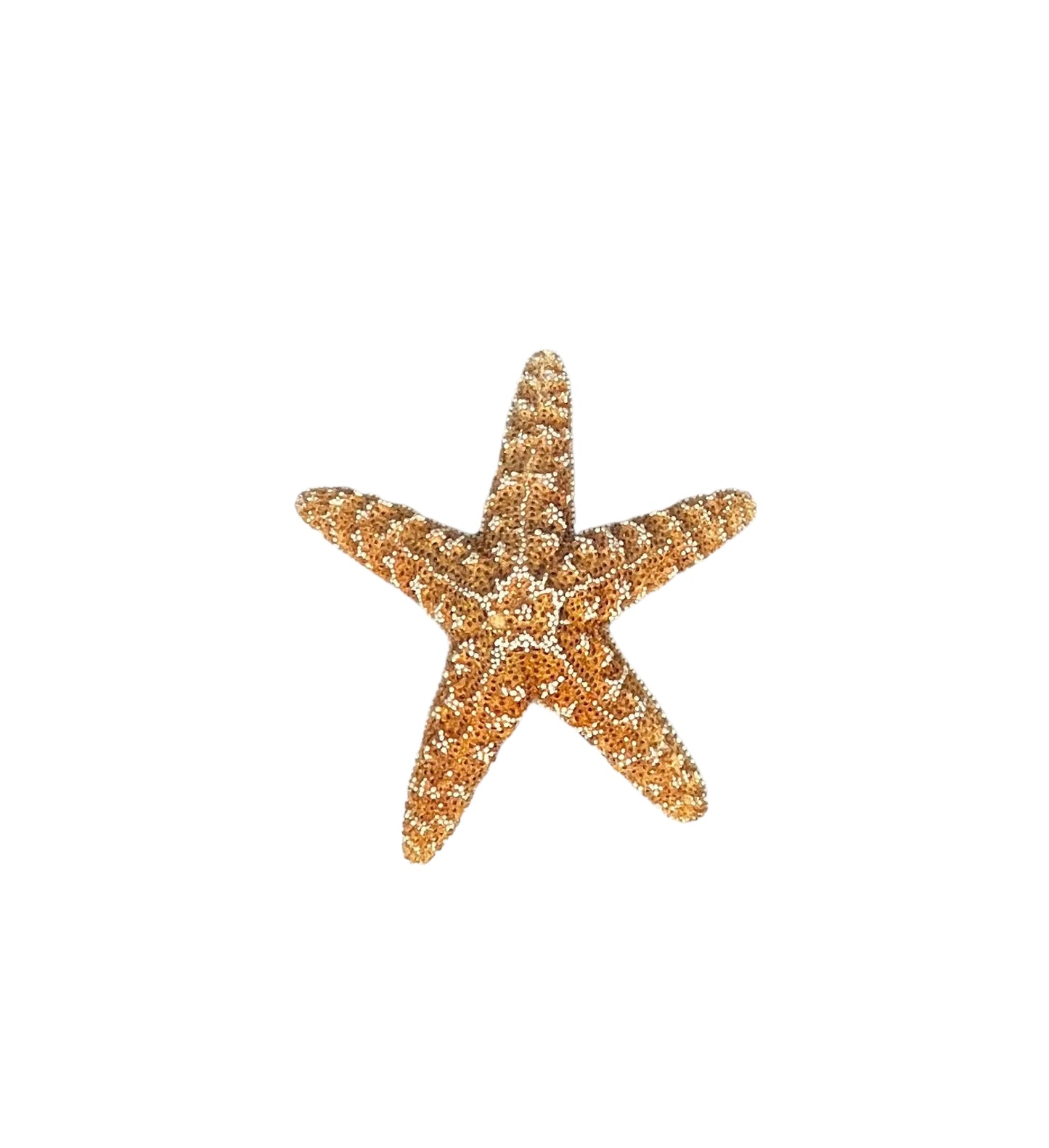 4-5” Sugar Starfish