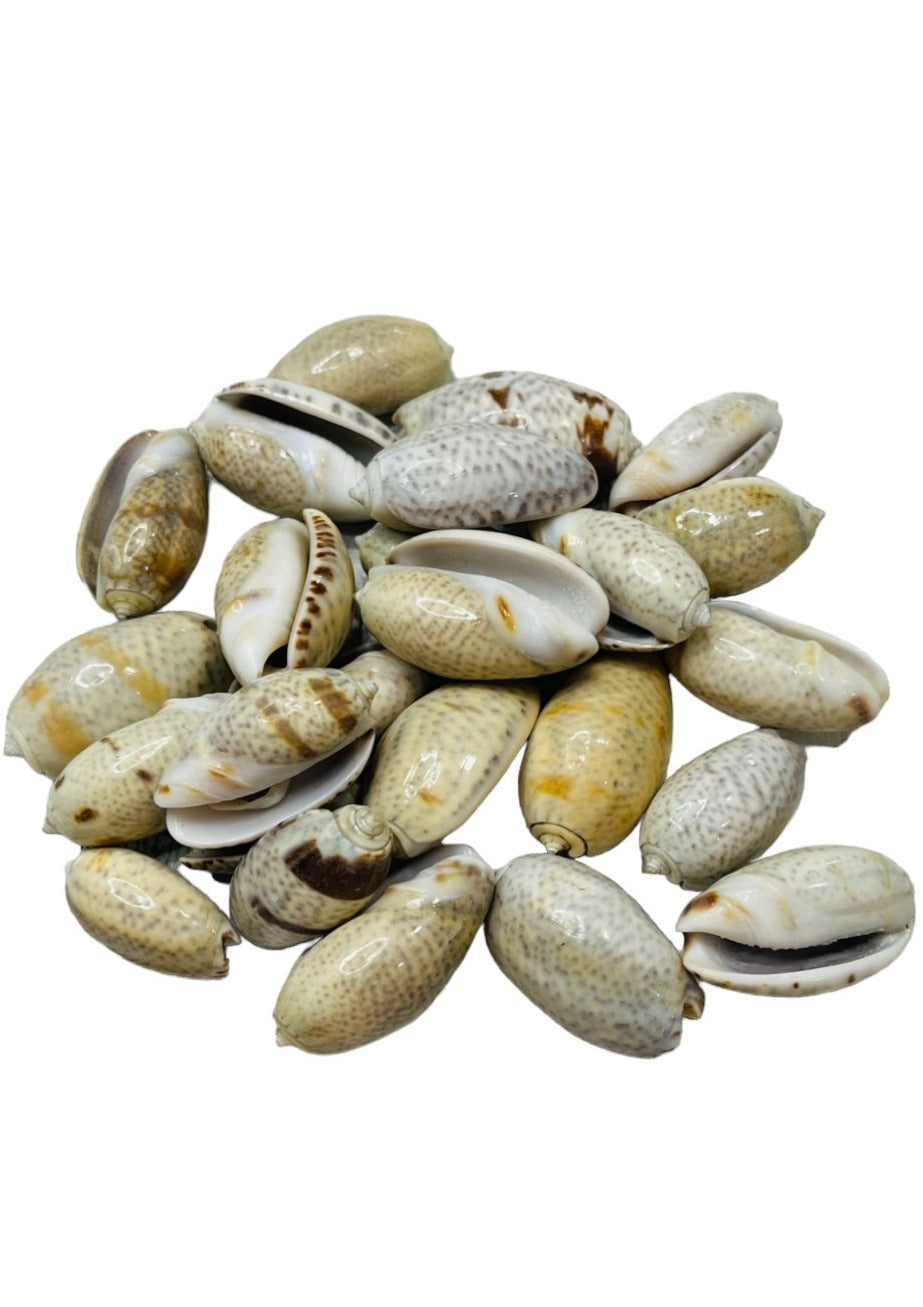 Mixed Olives