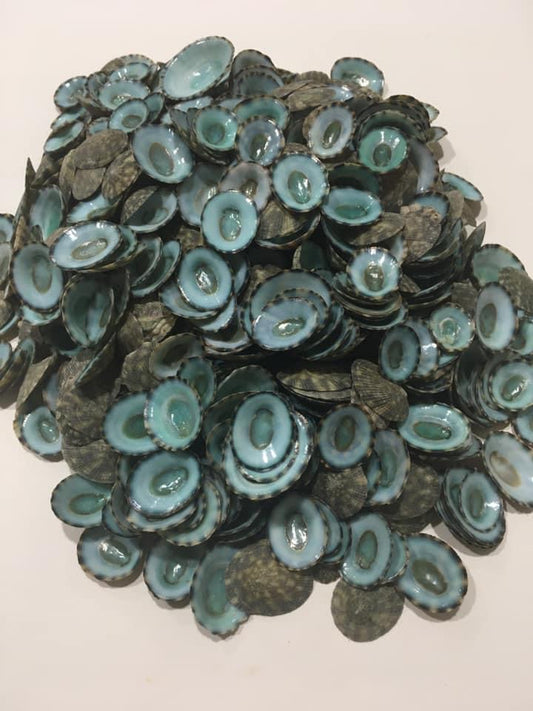 Green Limpet