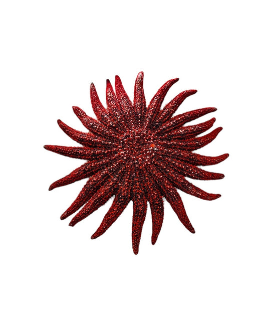 4-5” Red Sunflower Starfish
