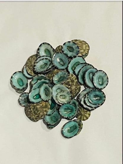 Tiny Green Limpets