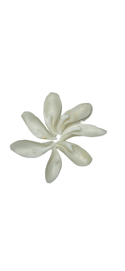 White Lily Cut