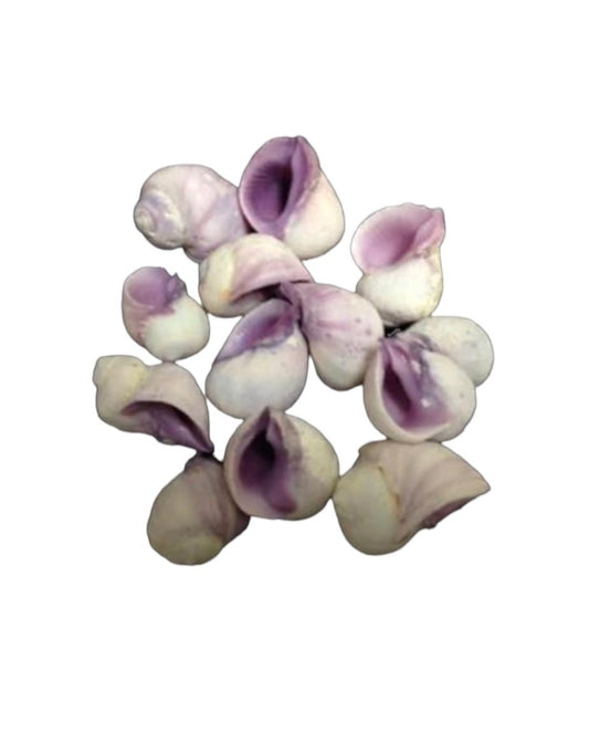 Purple Cebu